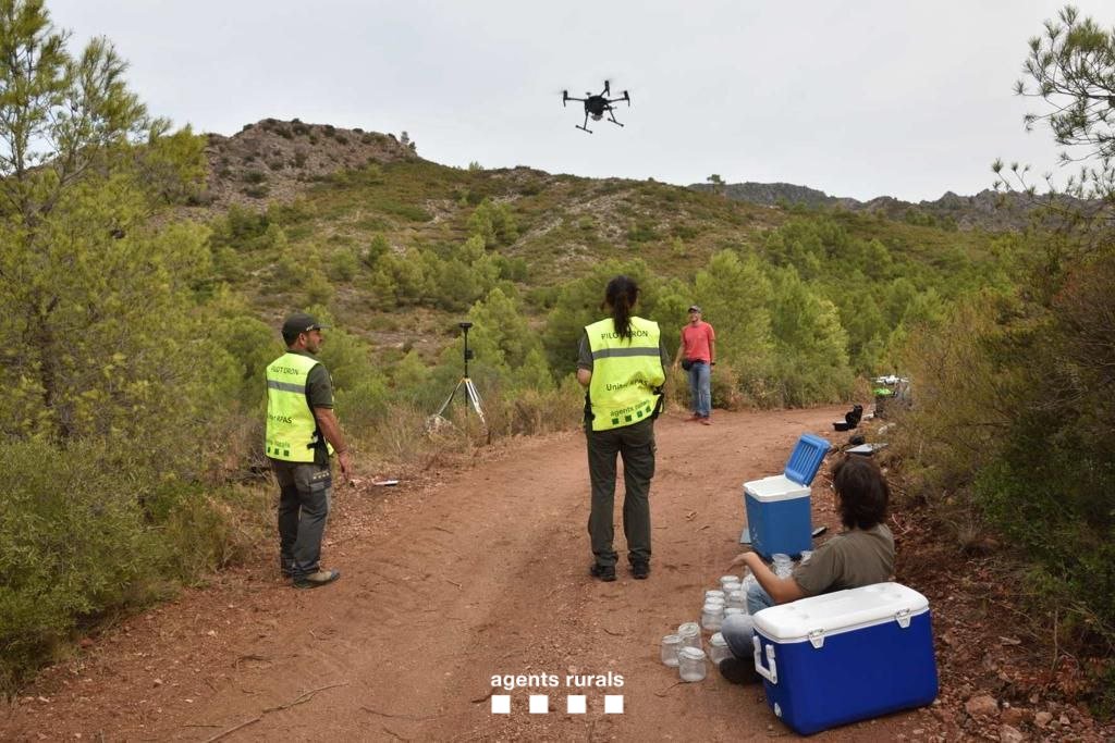 agentsruralscat's tweet photo. 🌳 #SabiesQue treballem per millorar la prevenció dels incendis forestals fent mostreig de la humitat del combustible del matollar?
🤝 Agents de la Unitat RPAS del #GSAcar col.laboren amb @ICGCat, @ctforestal i #SPIF, en els projectes #CombusCat i #MatoSeg (@FBiodiversidad). https://t.co/5ag98qok4r