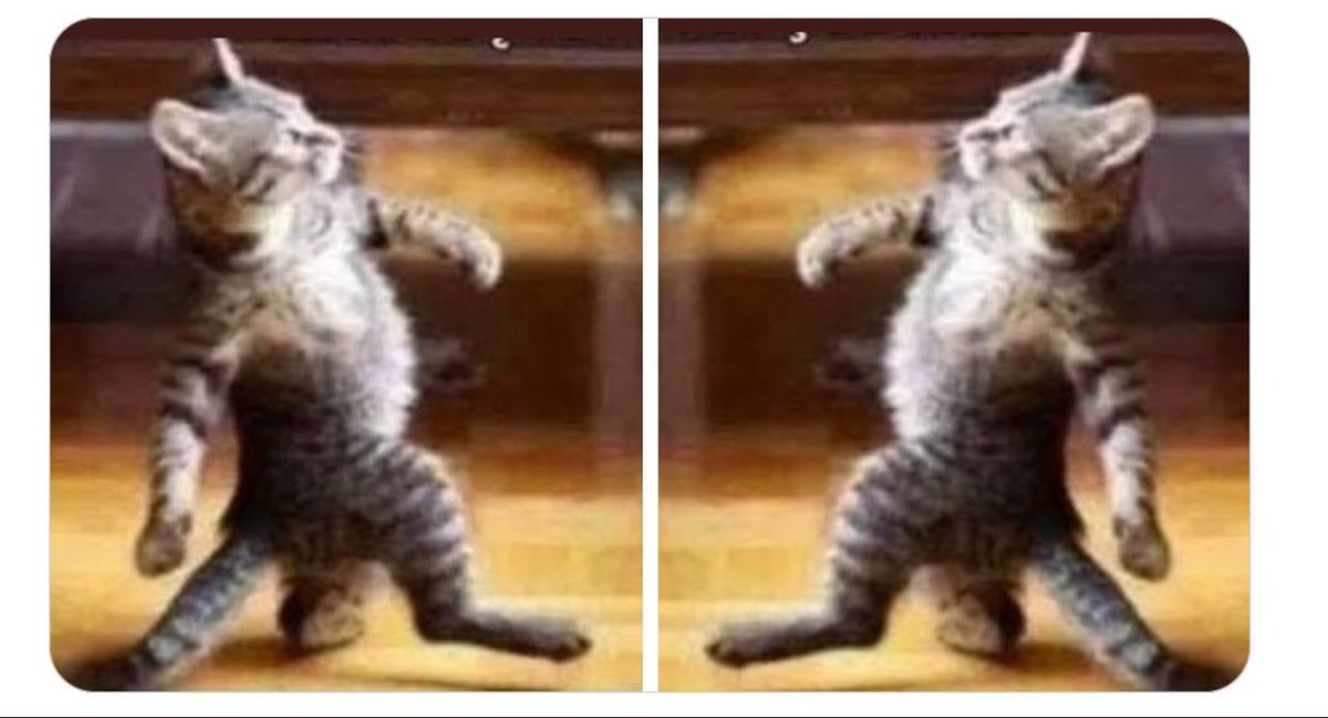 Tarih sorularına bakalım
Tarih bilmiyormuşum çıkalım #kpss2022