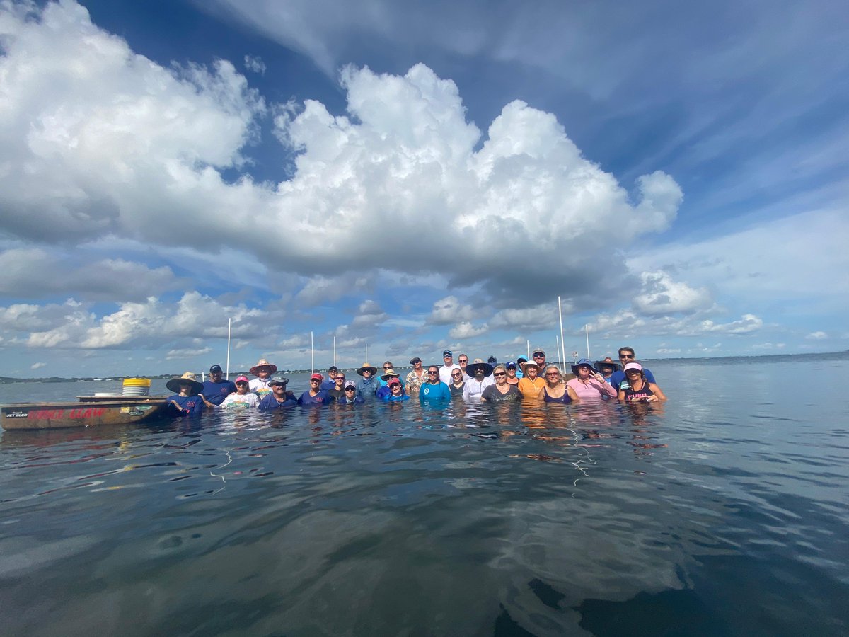 FLOceanographic's tweet photo. We deployed 55k #clams into the #IndianRiverLagoon last wknd w/ help from @MyFWC @cca_florida @AddictiveFish @onelagoon @Whitney_Lab. Hard clams have been significant contributors to healthy #waterquality in the IRL. #IRLclamrestoration, #saveourwaters #nationalestuaryprogram https://t.co/qQ0Ds4LuFB