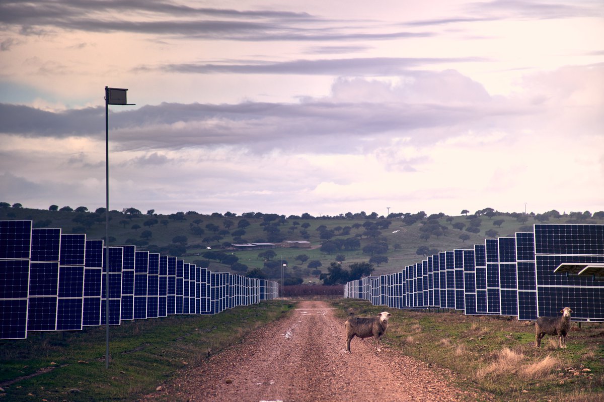 CastanonAlvarez's tweet photo. @UNEFotovoltaica #photovoltaica2022
Y por último, imágenes de Ingenostrum en Extremadura https://t.co/UX5ksNPlm8