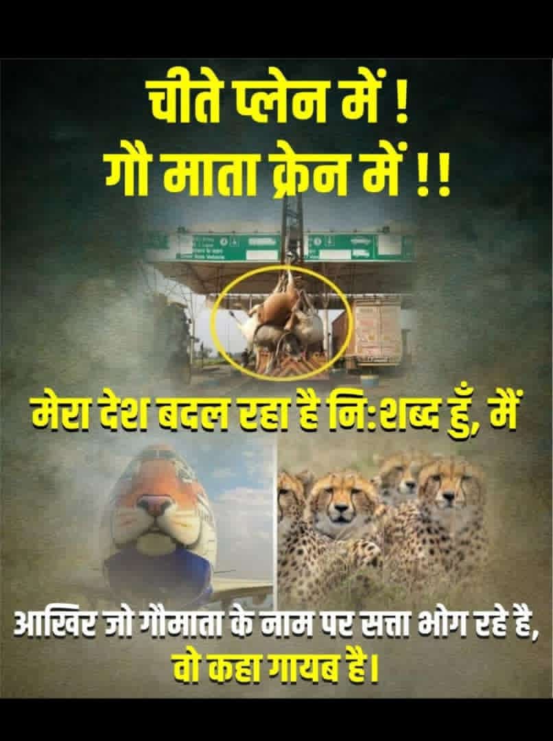 Sunil96925783's tweet photo. @umda_panktiyan https://t.co/gNPfK0QG6W