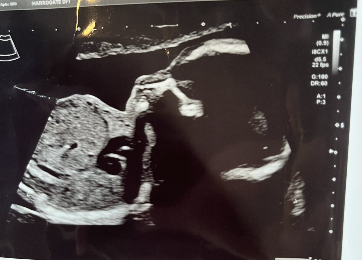 Russell Nightingale tweet media