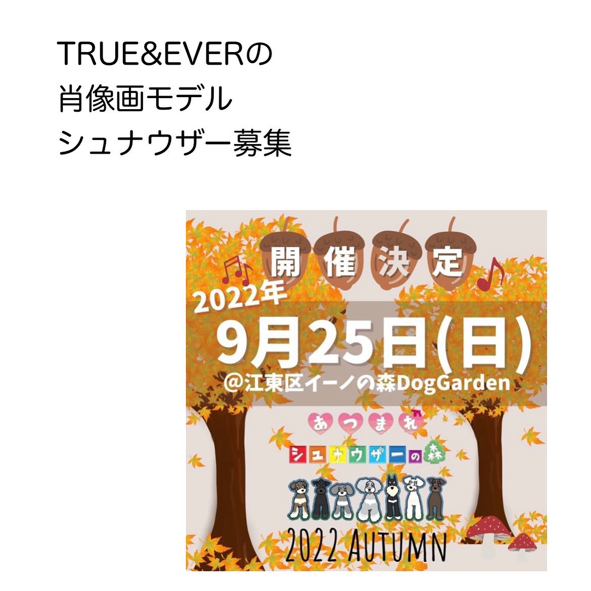 TRUEEVER5's tweet photo. 9月25日はシュナウザー��ングダム❣️

インスタグラム@noshibadognolifeでは
絵のモデル犬になってくれるシュナウザーを募集中です。

シュナウザーオーナー様ぜひチェックしてみて下さい。

#犬の似顔絵オーダー 
#シュナウザー 
#モデル犬募集
#絵のモデル犬
#シュナウザーキングダム https://t.co/KhPUf14033