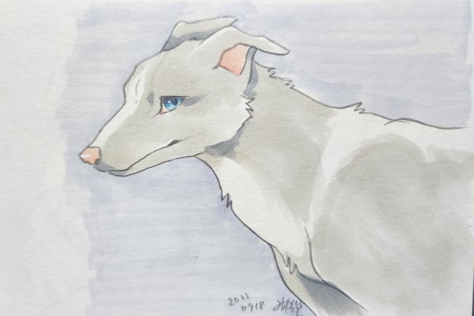 久々にアナログ浴がでたので…
やっぱコピック難しい… 