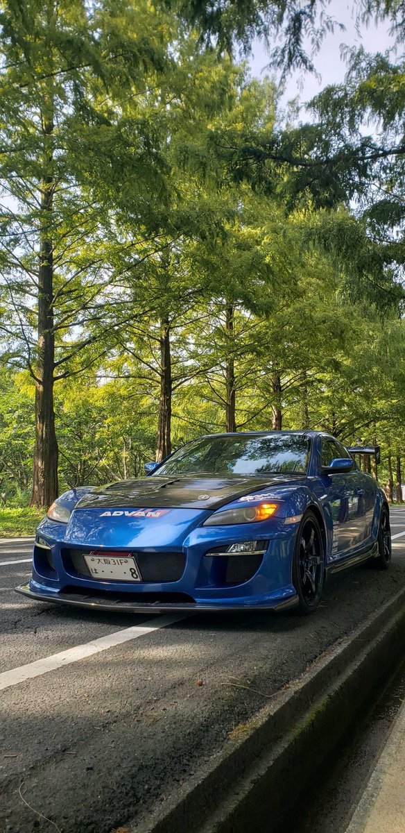 rx8_uhdrot's tweet photo. 先週行ったけど緑がめっちゃきれいやった！
#メタセコイア並木 https://t.co/YxZiKCAify