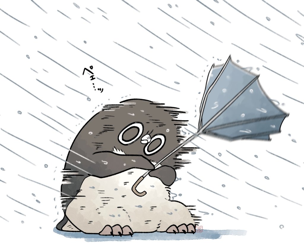 台風の日のアデリーペンギン。☔
ペェ…ッ!!
#アデリーペンギン 