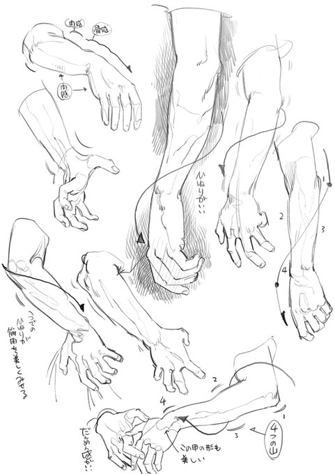 腕のひねりが良かったので模写!
いいなぁって感じる形をずっと描き続けると、自分の絵の中でその「いいなぁ」が自然と出やすくなっていく。模写は練習というよりいいなぁを集めまくる感覚で描いてます。 