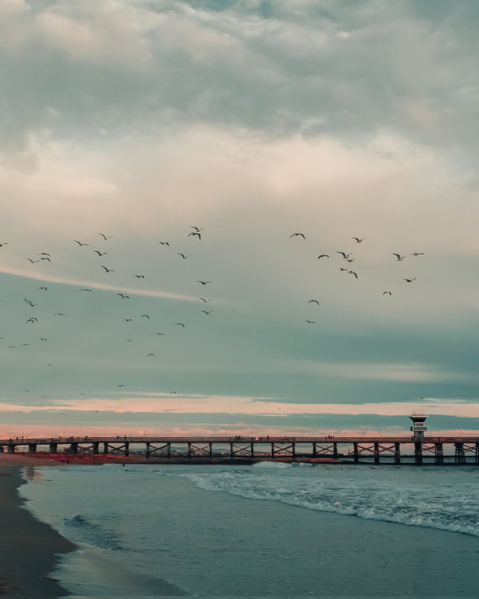 nonuzedits's tweet photo. #pic #picsart #picedit #photoedit #nonuzedits #edits #editing #lightroom #lightroomedits #lightroomtutorials #lightroommobile #lightroompresets #snapseed #snapseededit #explore #explorepage #explorepic #exploremore #exploreworld . @Lightroom https://t.co/5Of5KExxIY