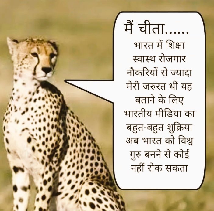 Naresh_Nehraa's tweet photo. आज सारा दिन भारतीय मिडिया ने मेरी उन खुबीयों को बताया जो मैं खुद भी नहीं जानता था!शुक्रिया भारतीय मिडिया चीता🙏
#Cheetah #CheetahIsBack 
@HansrajMeena @Ravindra_Fouji
@shauryabharat_ @_YogendraYadav 
@RakeshTikaitBKU @RLDparty @hanumanbeniwal @RLPINDIAorg @yogendrayadav66 https://t.co/lTZFPhvZO5