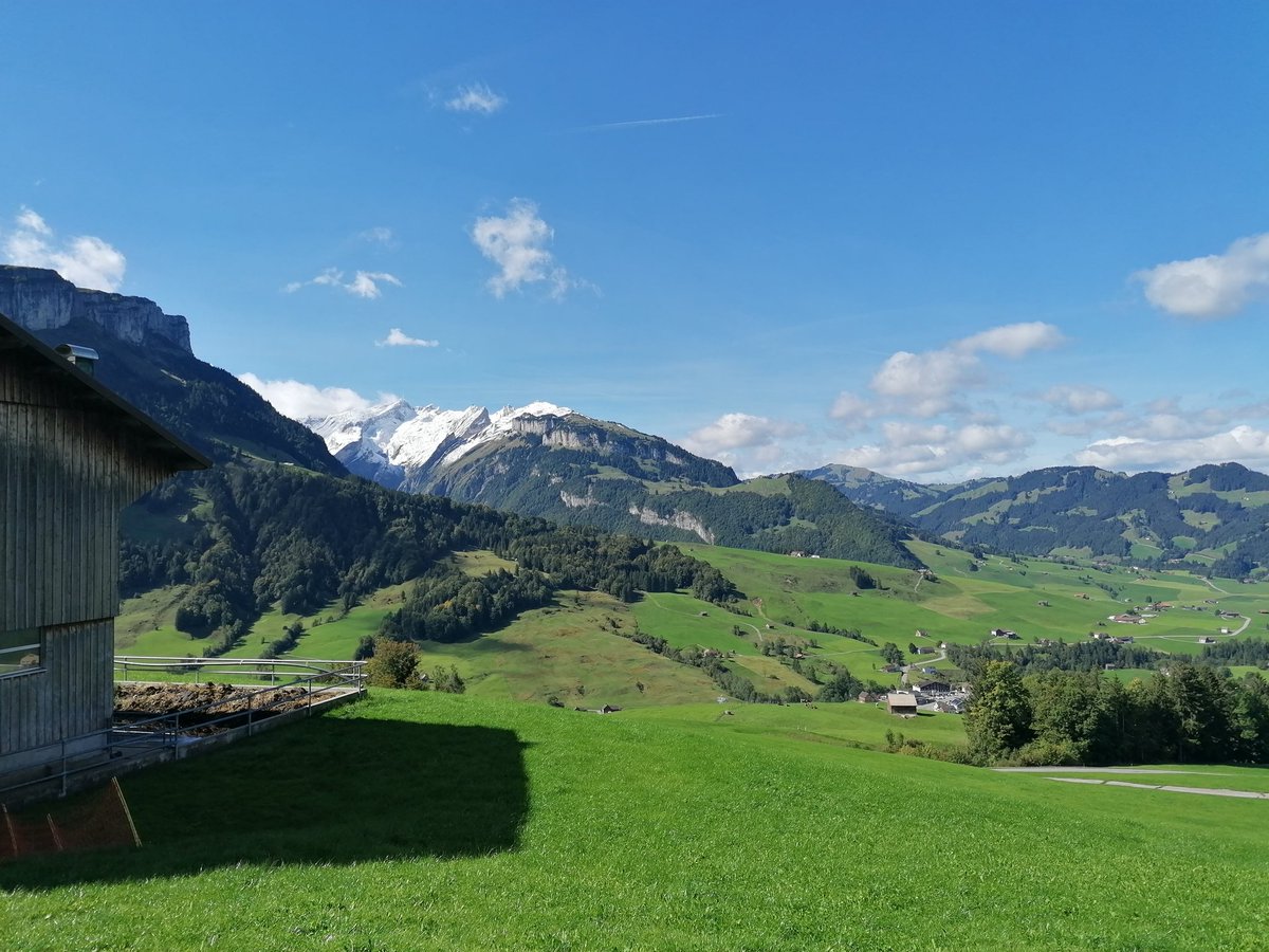 FelixSch86's tweet photo. Auf dem #Säntis ist vorübergehend der Winter eingezogen. Fotos einmal von Brülisau aus und dann noch die #Roundshot https://t.co/FfdlA2xP2s