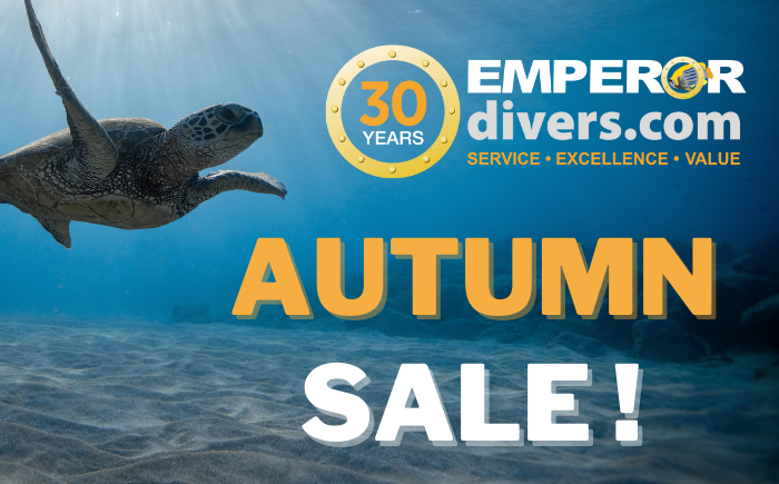 EmperorDivers tweet media