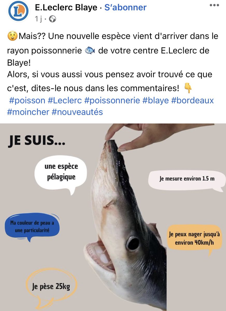 mouvement.leclerc/environnement/…

En effet, énorme travail sur le respect de la biodiversité en vendant du requin bleu 😵😵😫 ( espace menacée ) + communication RS en mode #nouveautes. Vivement la fin du greenwashing.. sur le poisson, sur les fruits et les légumes.