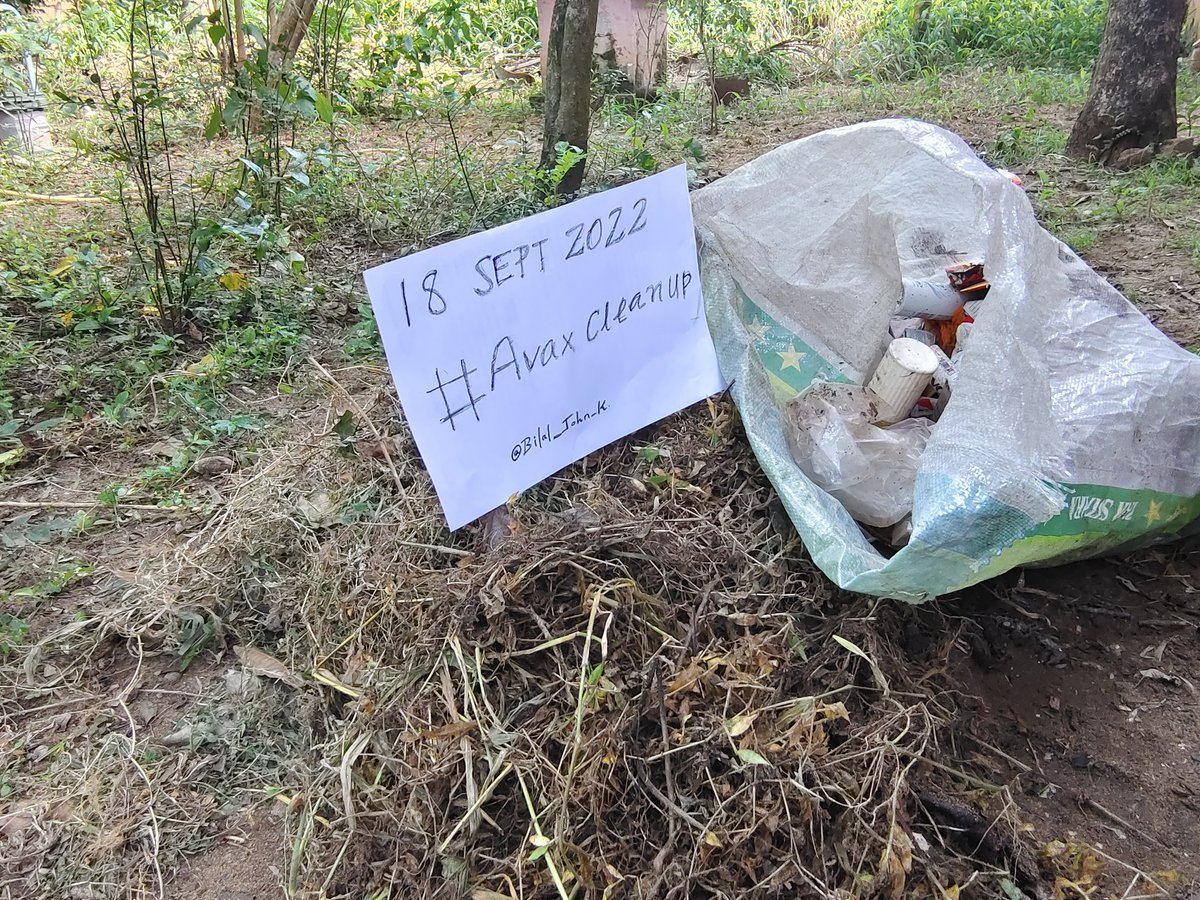 jayjohn1993's tweet photo. @friendforestnft @_SparkGM @chikn_nft Snday work
#AvaxCleanUp https://t.co/PoovpJMgwL