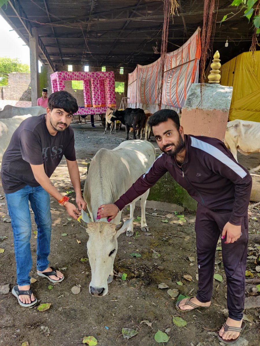 NandedaSuraj's tweet photo. प्रयास निरंतर जारी है..उन्हेल जिला उज्जैन (म.प्र)
 उन्हेल की टीम द्वारा गो माता में भयानक बीमारी लंपी वायरस के चलते वैक्सीन महाअभियानइसमे सहयोगी पशु चिकित्सालय उन्हेल टीम 
नगर पालिका कर्मचारी उन्हेल टीम 
एवं उन्हेल नगर की जनता का बहुत-बहुत धन्यवाद आभार 🙌
जय गो माता🚩#lampivirus https://t.co/ki8BcCJ1hl