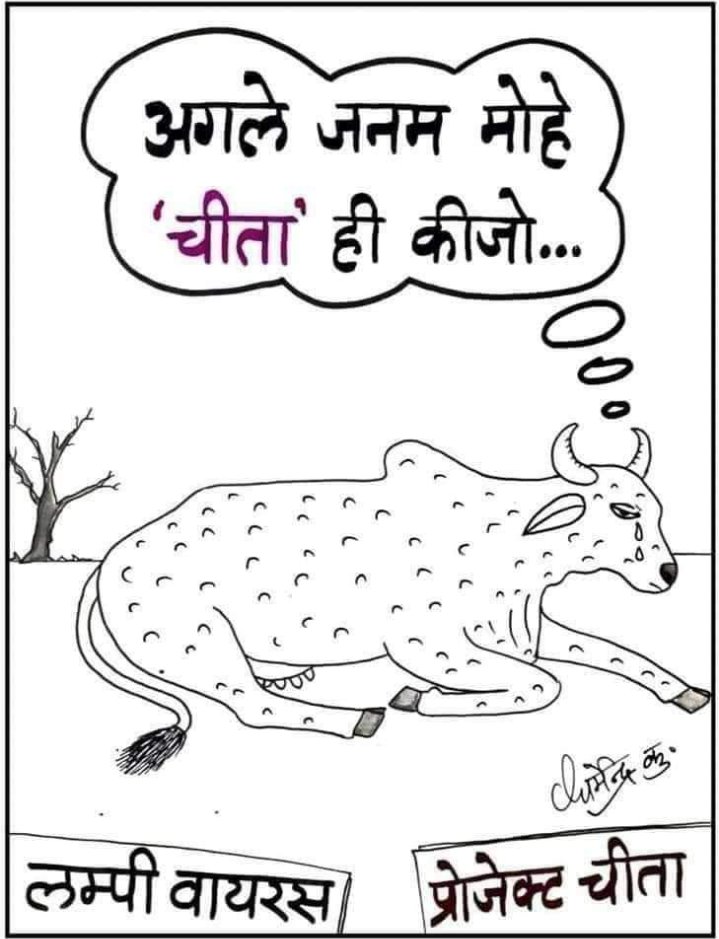 punitnokha's tweet photo. चीतों के भोजन के लिए 181 हिरण उस जंगल में छोड़े गए हैं जबकि कुछ समय पहले एक हथनी की मौत पर देश रो रहा था । https://t.co/b0xruEQkWg