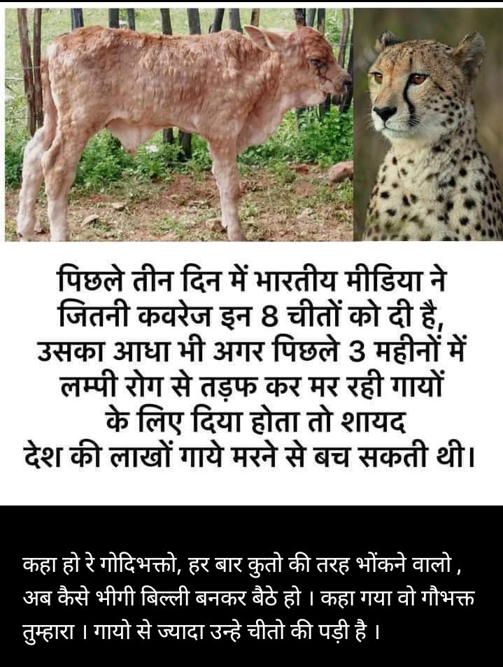 punitnokha's tweet photo. चीतों के भोजन के लिए 181 हिरण उस जंगल में छोड़े गए हैं जबकि कुछ समय पहले एक हथनी की मौत पर देश रो रहा था । https://t.co/b0xruEQkWg