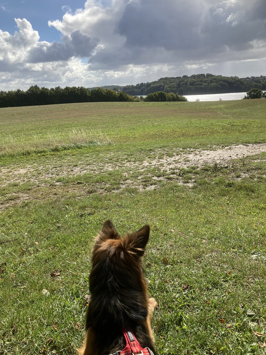 JGleser's tweet photo. Sonntag. Erstmal ne Runde Wanderschuhe ausführen. SH ist auch im Herbst schön. ♥️ https://t.co/DD4udXRxng