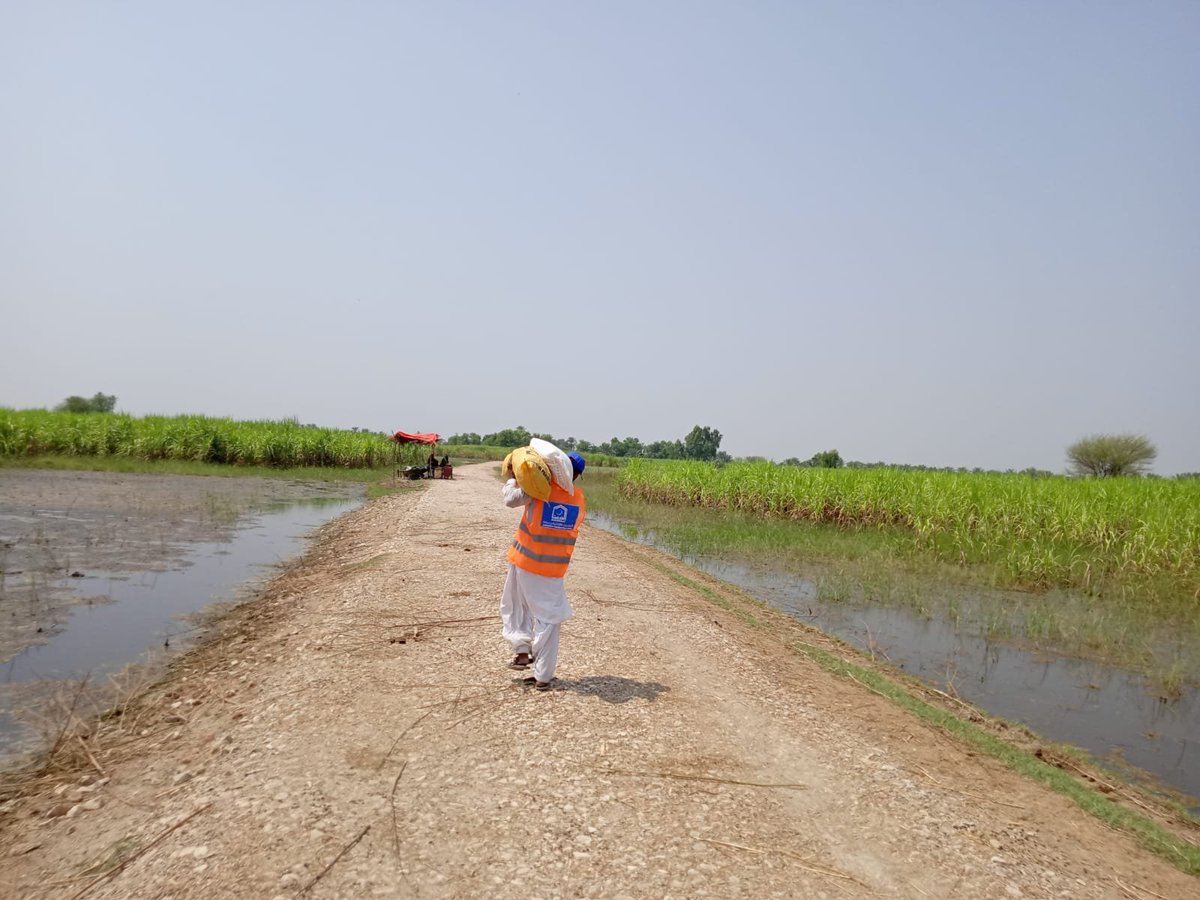 MaryamSubata's tweet photo. Alkhidmat everywhere 
@AlkhidmatOrg #AlkhidmatFloodResponse https://t.co/O3Kj43a7P7