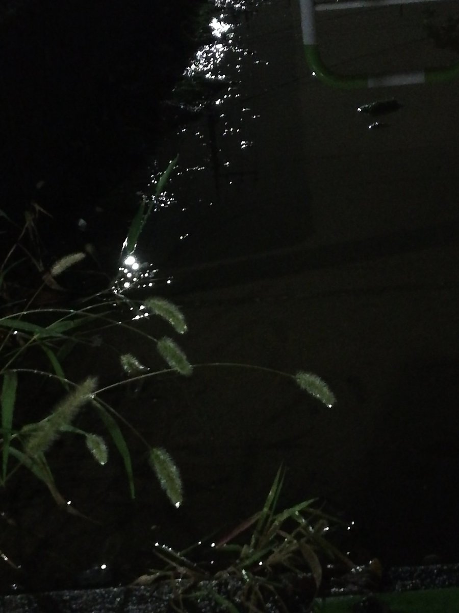 QBg2k0K3grFPPEm's tweet photo. 雨あがる https://t.co/8WdG2qZv9s