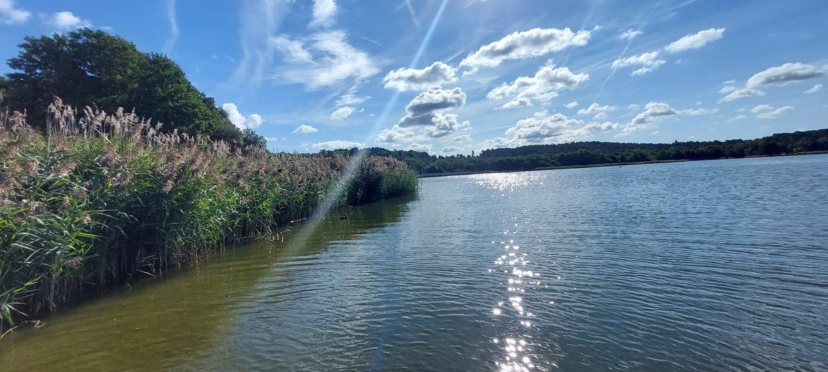 NCCbyKimberley's tweet photo. Another fun morning recreating several tasks 🥰🥰 #Taskmaster #TaskmasterGathering #TaskmasterWeekend #TaskmasterTour #FrenshamGreatPond https://t.co/uMEwmrfUeh