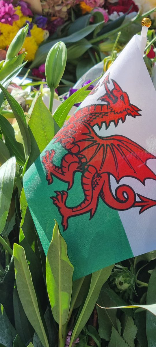 YsgolSantIoan's tweet photo. Four special books in commemoration of Queen Elizabeth II have been laid in the gardens near Buckingham Palace. These books are filled with beautiful prayers, messages and artwork from the children at St.Johns 💖 Diolch am bopeth. Bendith Duw https://t.co/2XWiqXd7Vf