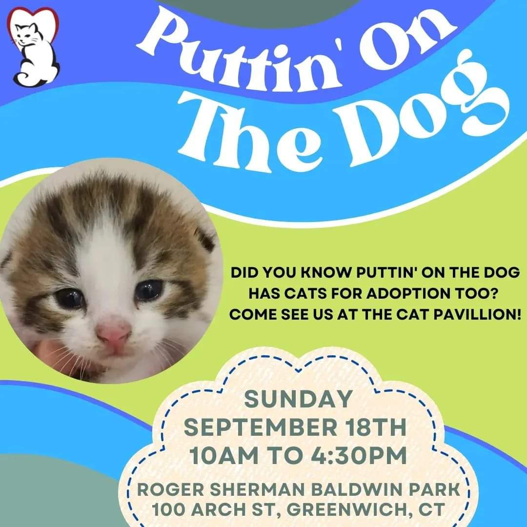 furrr911's tweet photo. Do you adore dogs and puppies? Do you swoon over kittens and cats? Well then, we have the event of the year for you to attend this Sunday, September 18th in Greenwich, CT.

Do not be fooled by the name of this gathering, Puttin' on the Dog, (+) https://t.co/O2ymQnnHbV