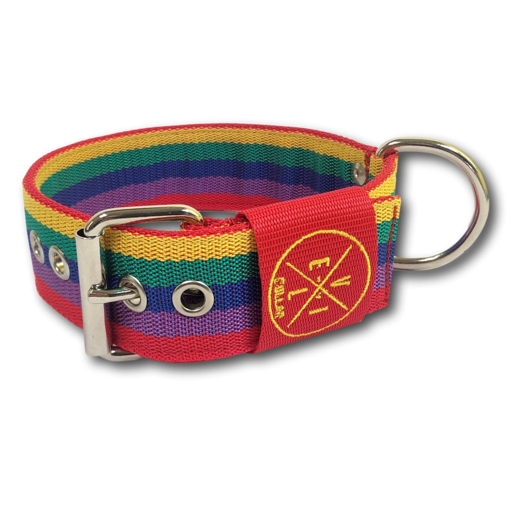 EvilCollar's tweet photo. π Collare Rainbow π
solo da EvilCollar a partire da β¬29.00.
π¨Shop now π https://t.co/YusEaGtsDH
#customcollars #collari #collaripersonalizzati #dogs #dogslife #staffy #staffylovers #pitbull #evilcollar #dog #americanbully #doggo #dogcollars https://t.co/7doCAYG9Wm