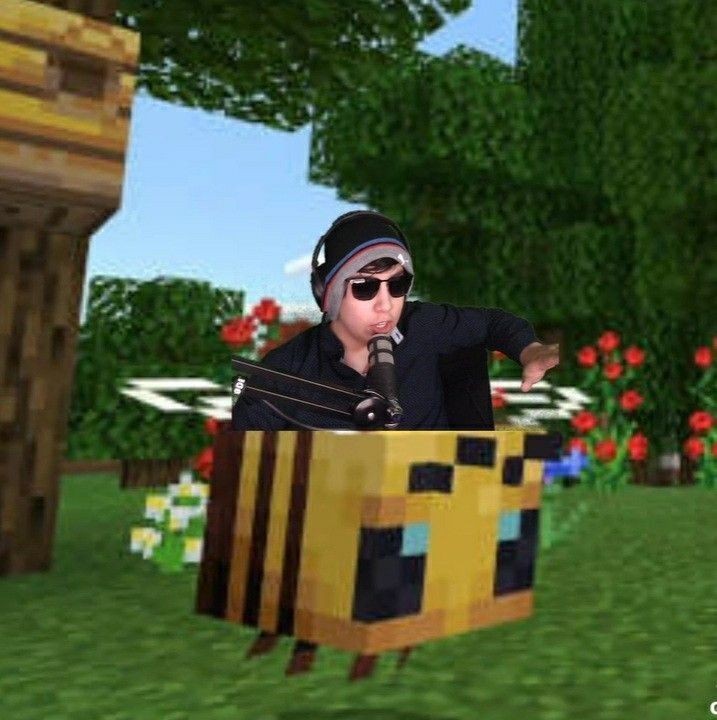 ccmutue's tweet image. si eres del fandom de quackity da fav y rt para encontrar mutuals &amp;lt;3 #quackity #integracion