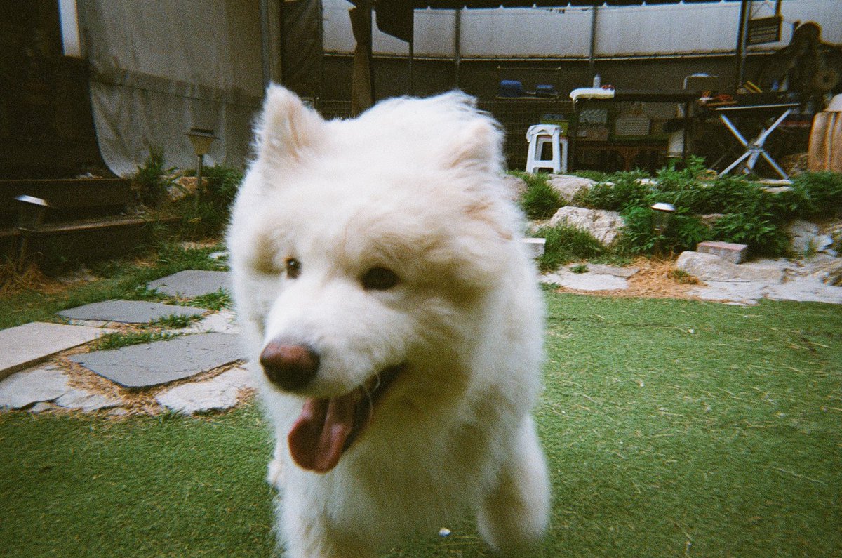 6bowwow's tweet photo. 필카기록📷 https://t.co/zcp7qAjvqw