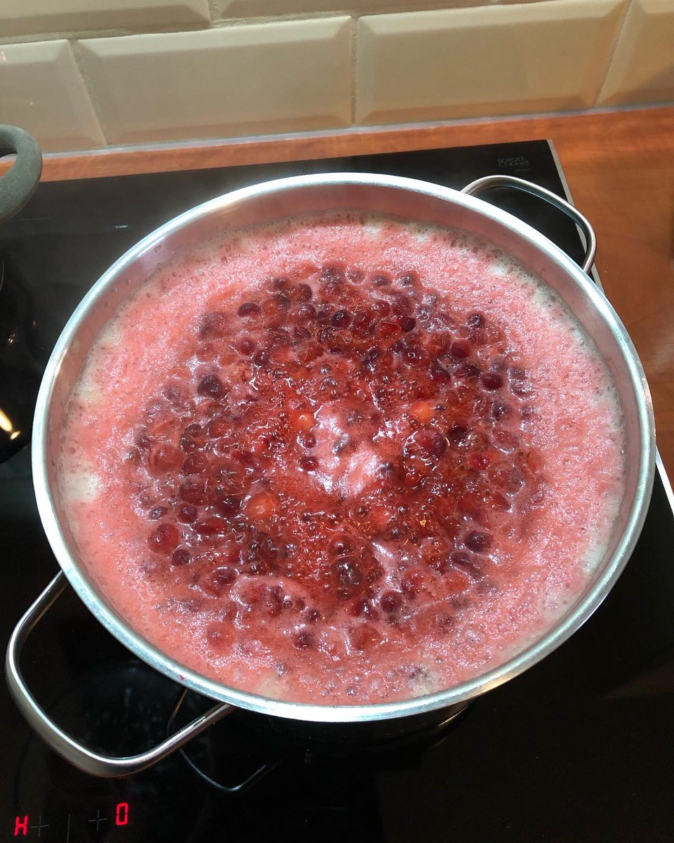 PascalBoorsma's tweet photo. Wintervoorraad vitaminen weer klaar.👌🏻 #cranberries https://t.co/xdwjfJ6Aip