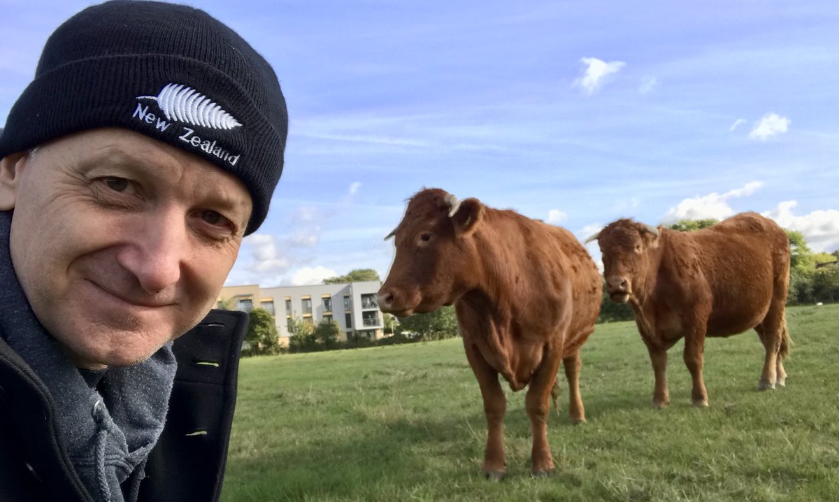 GrahamMack's tweet photo. These two have a natural lifespan of up to 30 years but they will be killed before they reach 18 months, the same as millions of others in Britain. Try a Beyond burger, Impossible Burger, vegan Whopper or McPlant. They taste just as good, thereโs no cruelty and nobody dies. https://t.co/9Wc9ws2goV