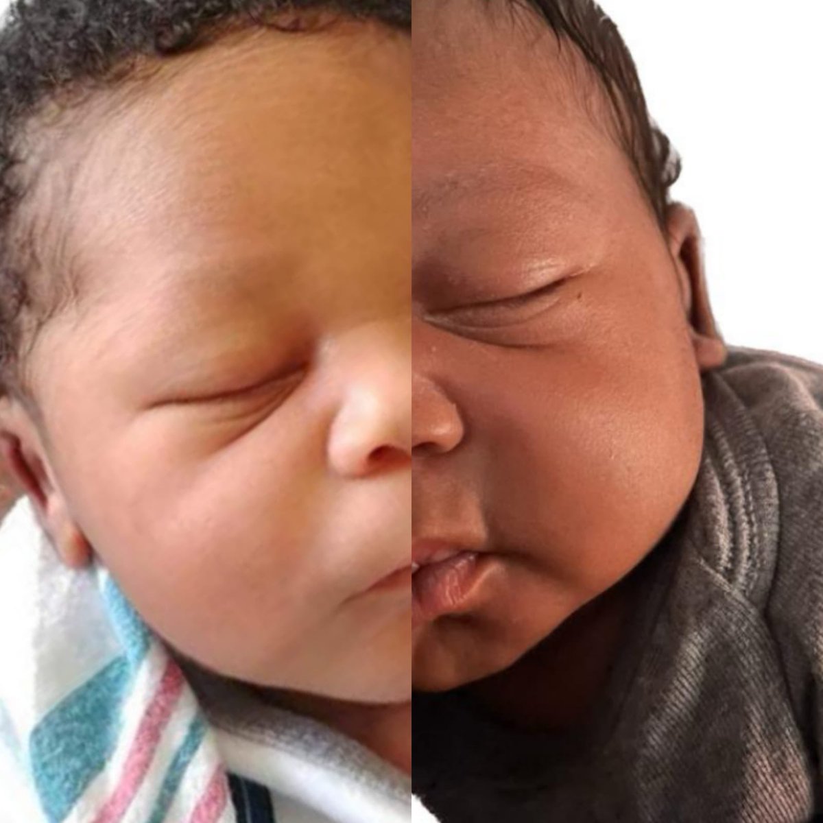 🌻AuntieMutha🌹 tweet media