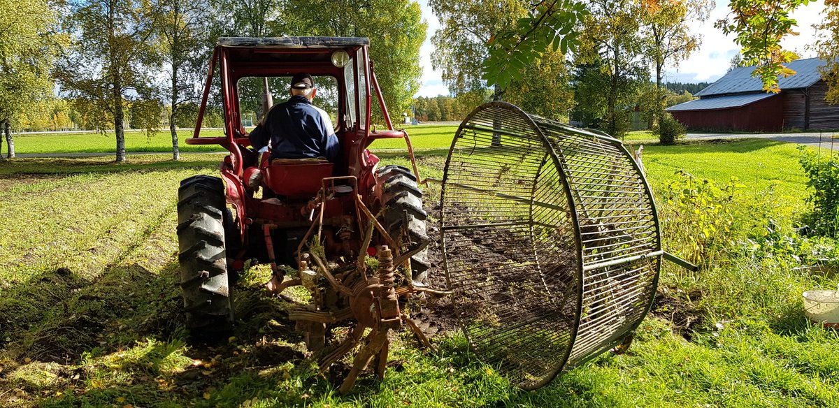 burny_burner's tweet image. Nu är det dags att sätta sprättEN på pärerna
#potatis #ryggskottefteråt #jamtland #livetpålandet #månskensbonde 
@Genusfoljaren
