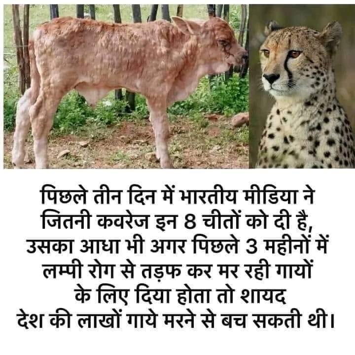 SandeepKumar's tweet photo. https://t.co/l3MIgUJEyb