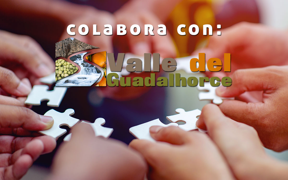VdelGuadalhorce's tweet photo. Puedes colaborar con la web:

✅ Enviando noticias
✅ Contenidos históricos
✅ Eventos
✅ Asociaciones y ONG
✅ Fotografías, vídeos.
✅ Artículos

https://t.co/FTY0cZZFR8

#valledelguadalhorce #AlhaurínelGrande #Almogía #Álora #Cártama #Coín #Pizarra #ValledeAbdalajís #colaborar https://t.co/5Tnt0uQTiO