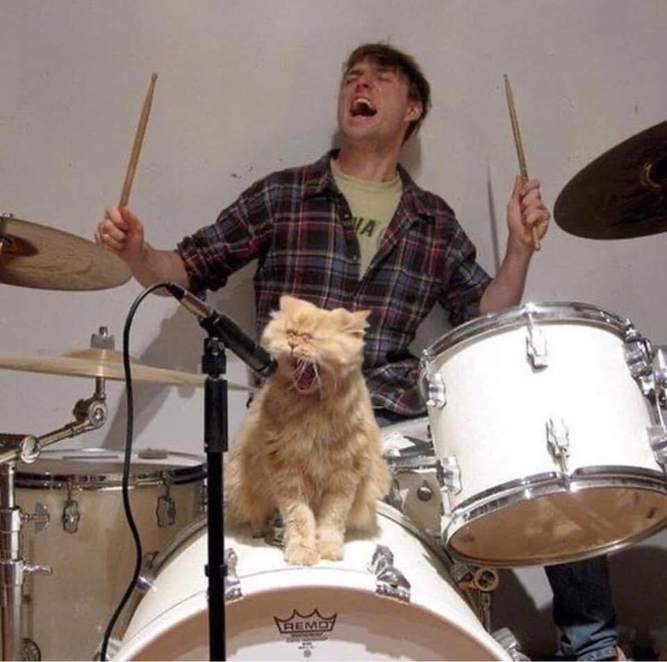 OCoulam's tweet photo. New band. Busted’a nut https://t.co/ihRiyQa1Kc