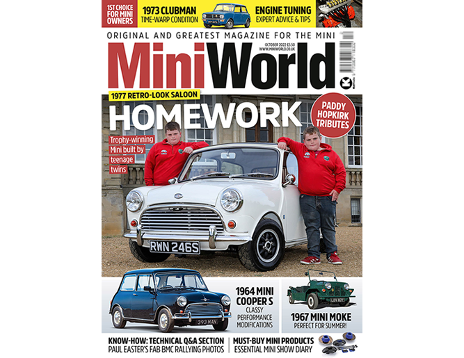 MiniWorld Magazine tweet media