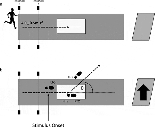 JSportsSci's tweet photo. Head control and head-trunk #coordination as a function of anticipation in sidestepping

By @sam_zeff, @gillian_weir_, Joe Hamill and Richard van Emmerik @UMassAmherst

Link to the paper: https://t.co/vDqQ7ZAuMi https://t.co/IC0DzmLXub