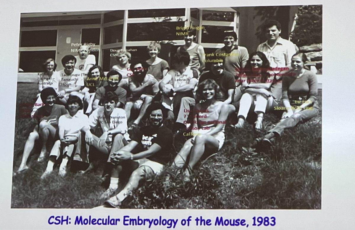LluisMontoliu's tweet image. A very inspiring and rewarding combined talk by Elizabeth Lacy and Frank Constantini, who shared some iconic photographs from the early 80’s courses held on mouse embriology where most of the #transgenesis techniques used nowadays were established and disseminated. Kudos to them!