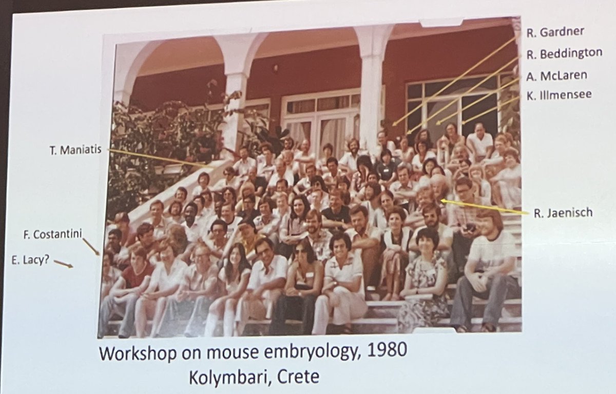 LluisMontoliu's tweet image. A very inspiring and rewarding combined talk by Elizabeth Lacy and Frank Constantini, who shared some iconic photographs from the early 80’s courses held on mouse embriology where most of the #transgenesis techniques used nowadays were established and disseminated. Kudos to them!