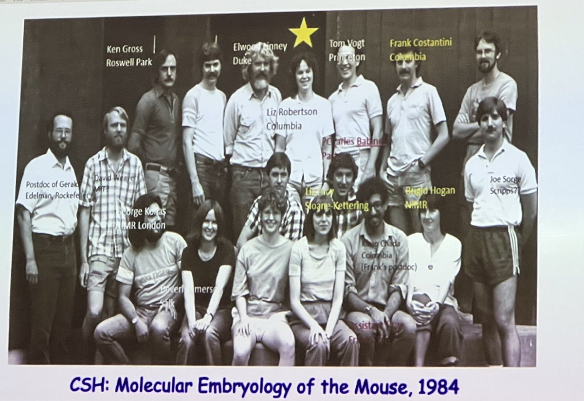 LluisMontoliu's tweet image. A very inspiring and rewarding combined talk by Elizabeth Lacy and Frank Constantini, who shared some iconic photographs from the early 80’s courses held on mouse embriology where most of the #transgenesis techniques used nowadays were established and disseminated. Kudos to them!