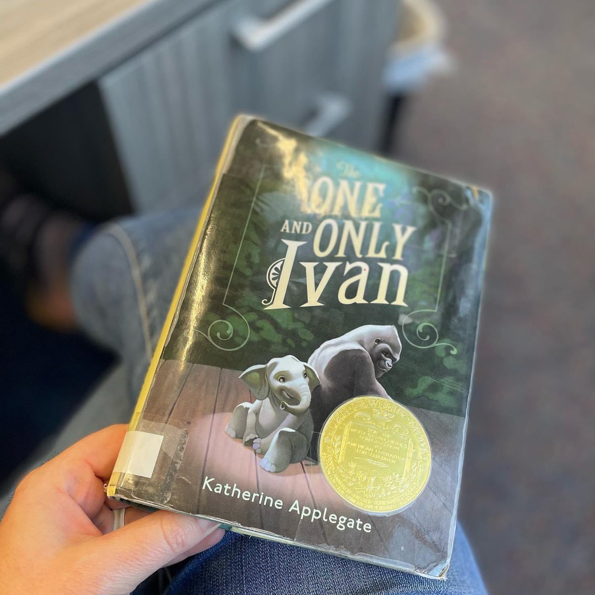 Abbey Cramer tweet media