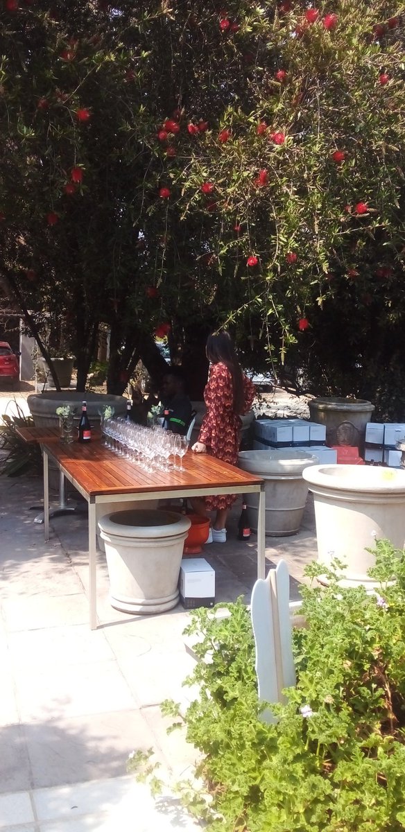 cheek2chic's tweet photo. Perfect weekend weather #SteenbergGardenParty #CapClassique @SteenbergWines only in Jozi now sorry Cape Town!! https://t.co/Dq0ZyyRv74