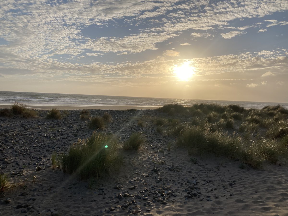 Summer spent writing. Currently working as Therapist, Breathwork Coach. My experience helps empower others. New paths are always possible. 👠🐯🍁💫🗺️