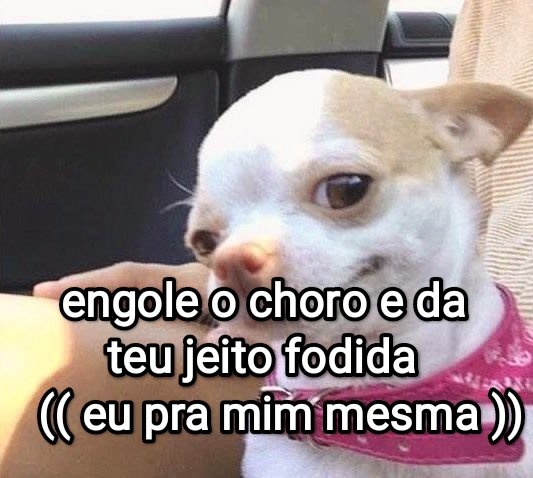 NazareAmarga's tweet photo. https://t.co/DQFih2ggZu