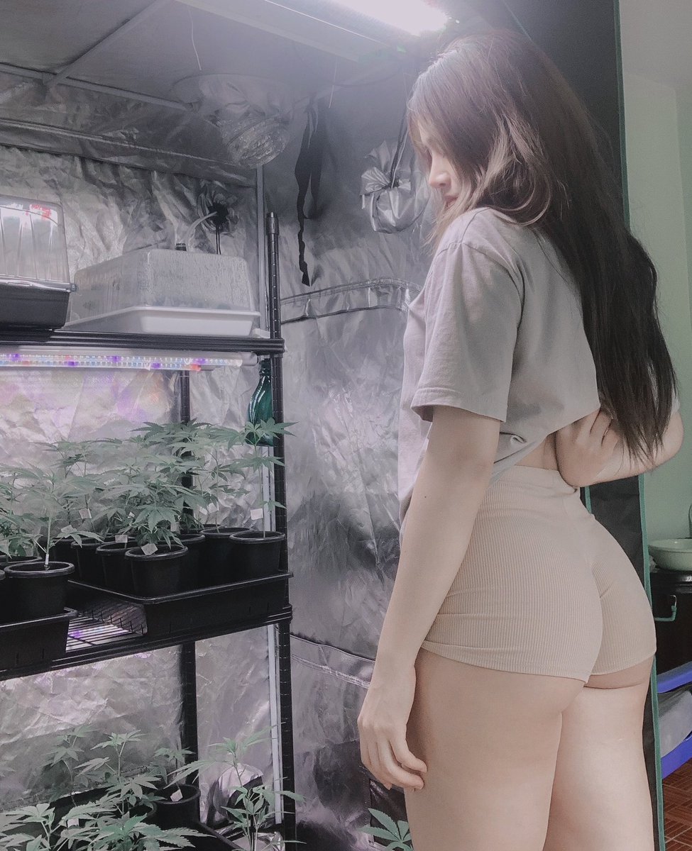 kao_sofatt tweet media