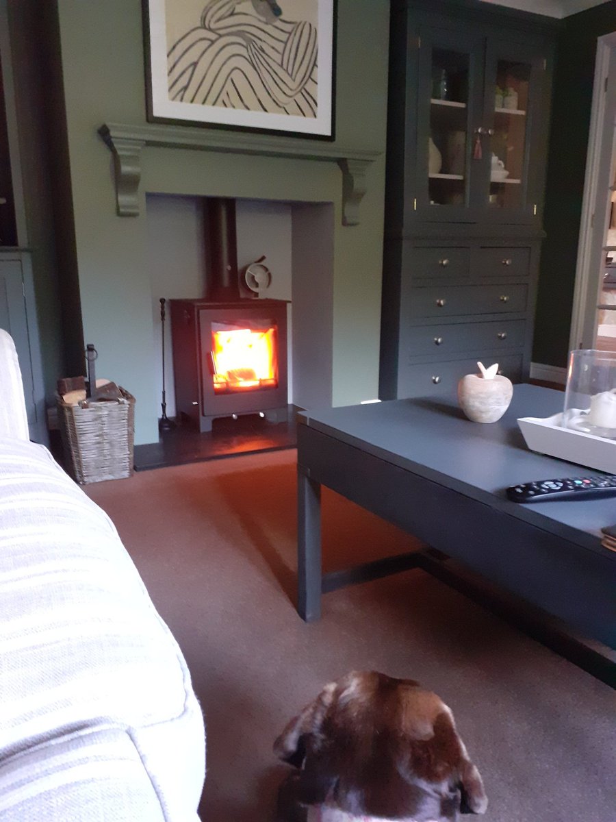 Bliss #WoodBurningStove #chocolatelab #dog lazy Sunday afternoon