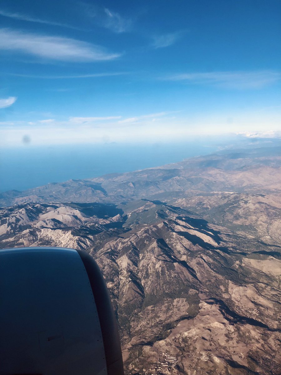 Álvaro Martínez-Camarena tweet media