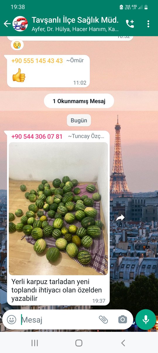 Resmi kurum grubu dediğin böyle olur ☺️😸