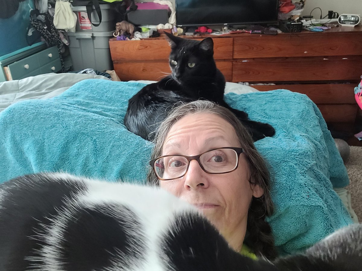 badgermum2010's tweet photo. 18 miles ✔️ NGL the last 3 were brutal with more walking than planned. My posterior chain keeps tightening up and today was on fire from mile 16 on. Recovery time: legs up the wall while draped in cats . #ChicagoMarathonTraining #runchat https://t.co/R6JTXSEagK